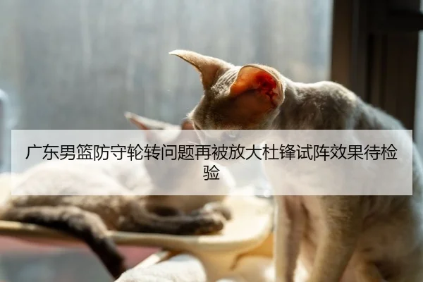 广东男篮防守轮转问题再被放大杜锋试阵效果待检验